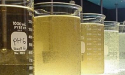 Air Quality Testing